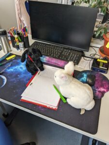 Teilnehmer setzt sich mit negativen Reaktionen beim #EmpathicTeddyDay im BFW Berlin Brandenburg auseinander