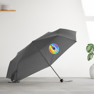 Regenschirm (klein)